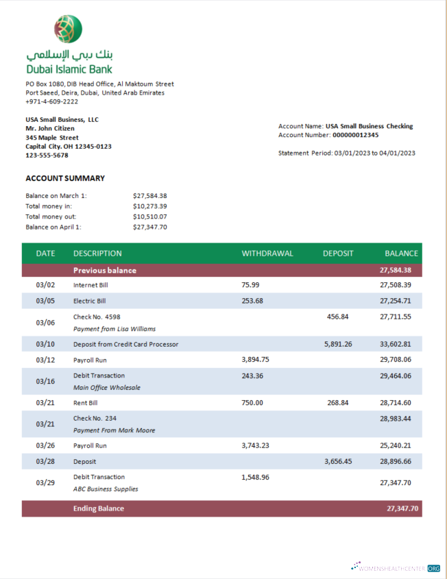 Download Dubai Islamic Bank enterprise statement Word and PDF template Photoshop template